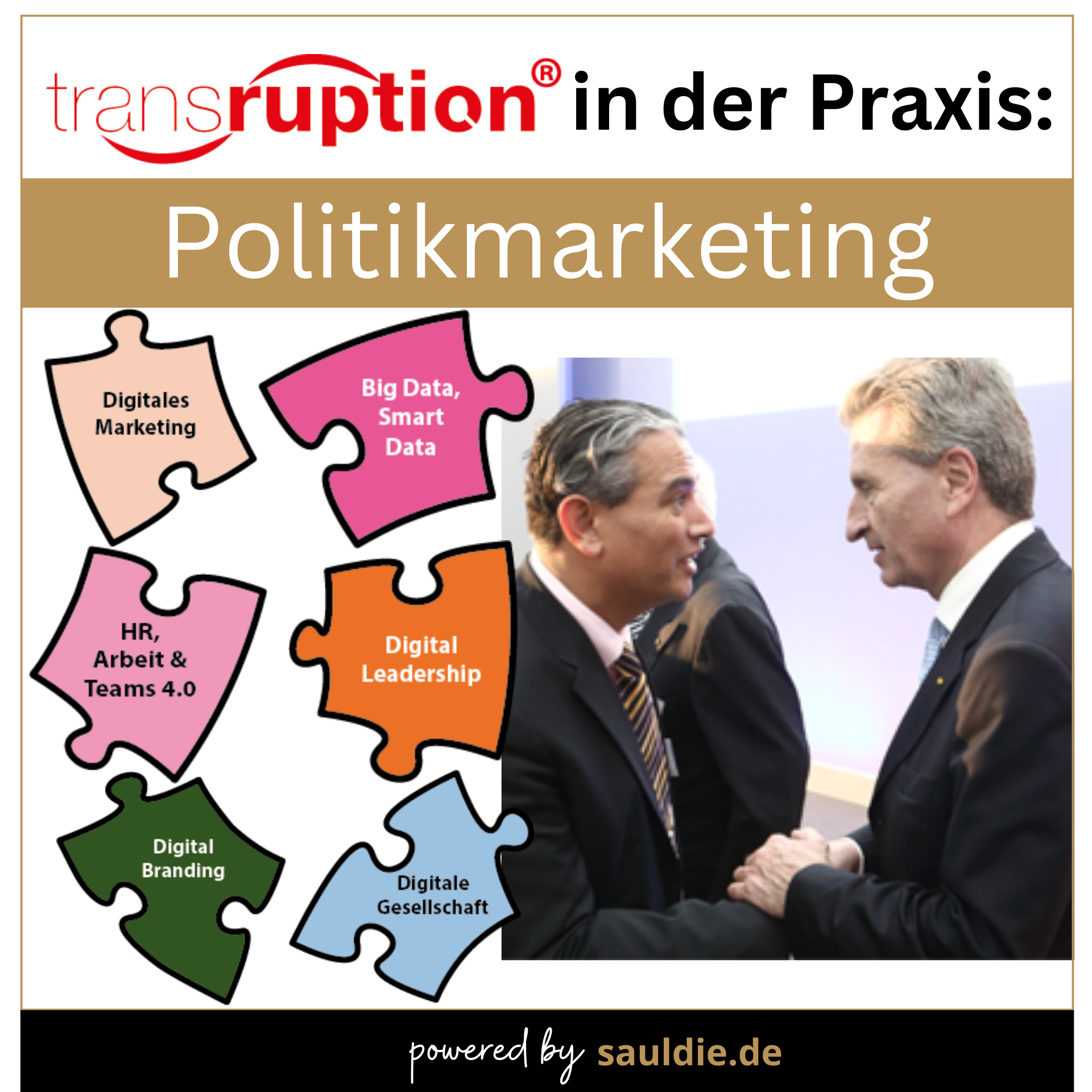 Politikmarketing: Teil 10: Die größte Politikmarketing Plattform: Das Internet 4.8 (241)