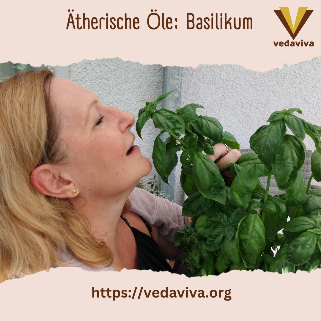 Ätherische Öle: Basilikum 4.8 (118)