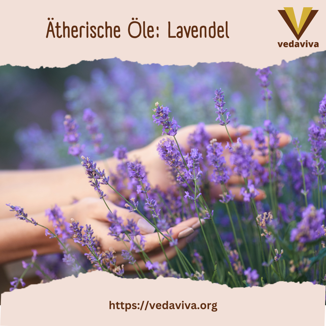 Ätherische Öle: Lavendel 4.8 (147)