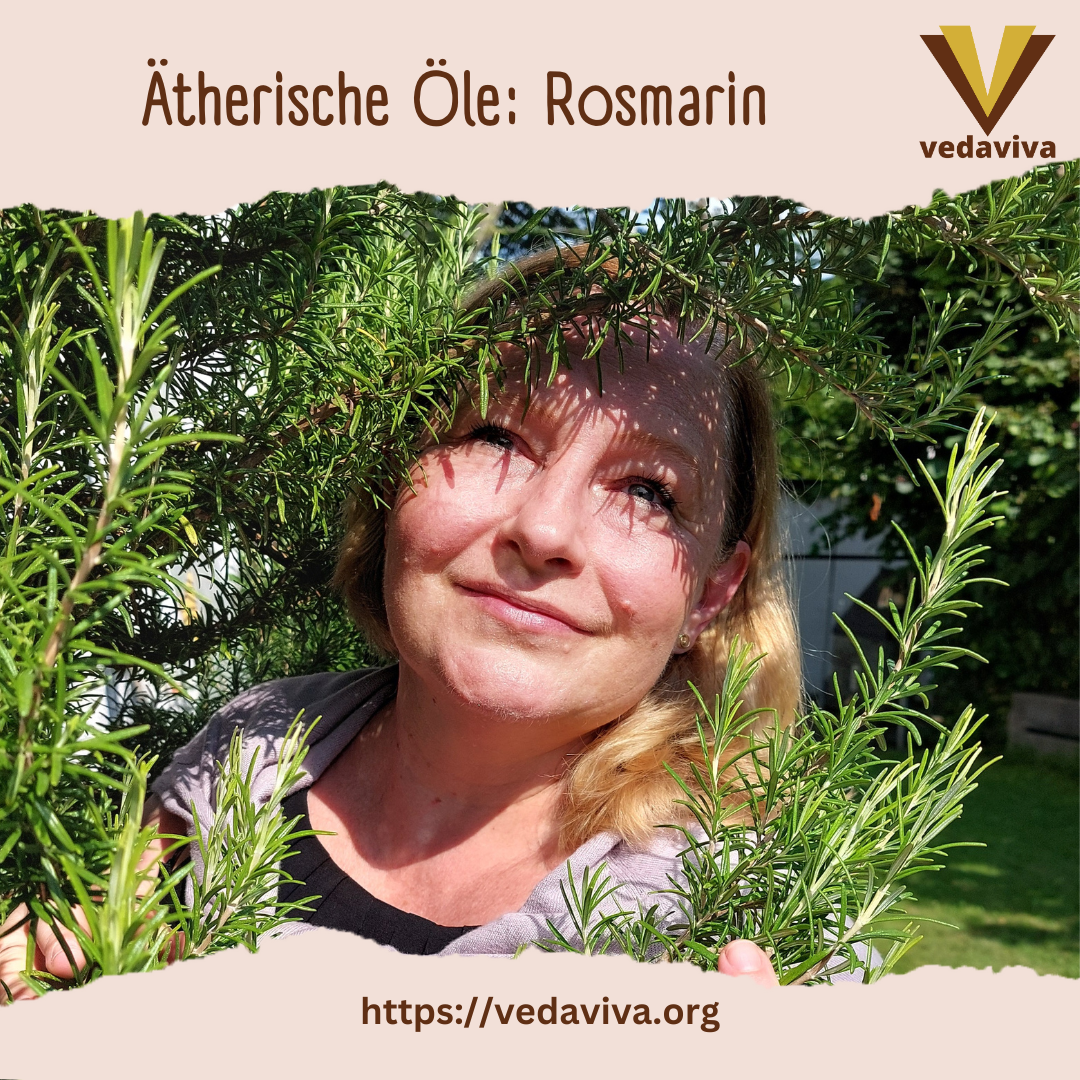Ätherische Öle: Rosmarin 4.9 (147)