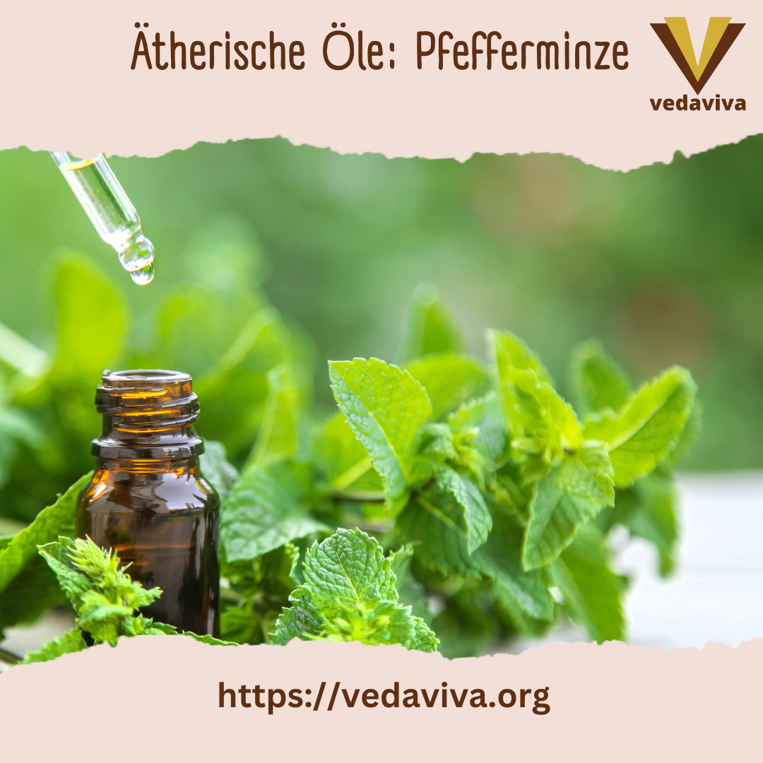 Ätherische Öle: Pfefferminze 4.8 (189)