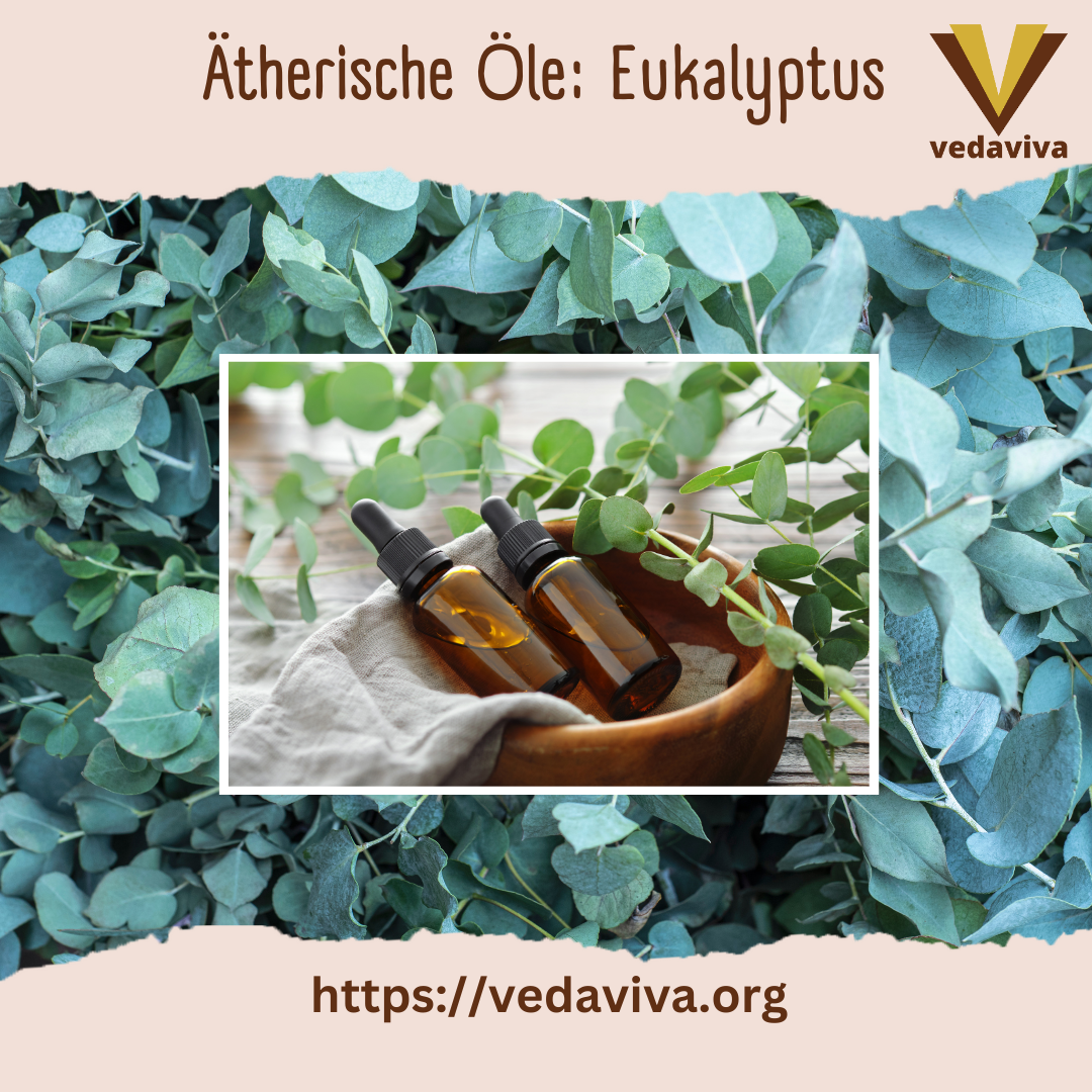 Ätherische Öle: Eukalyptus 4.8 (201)
