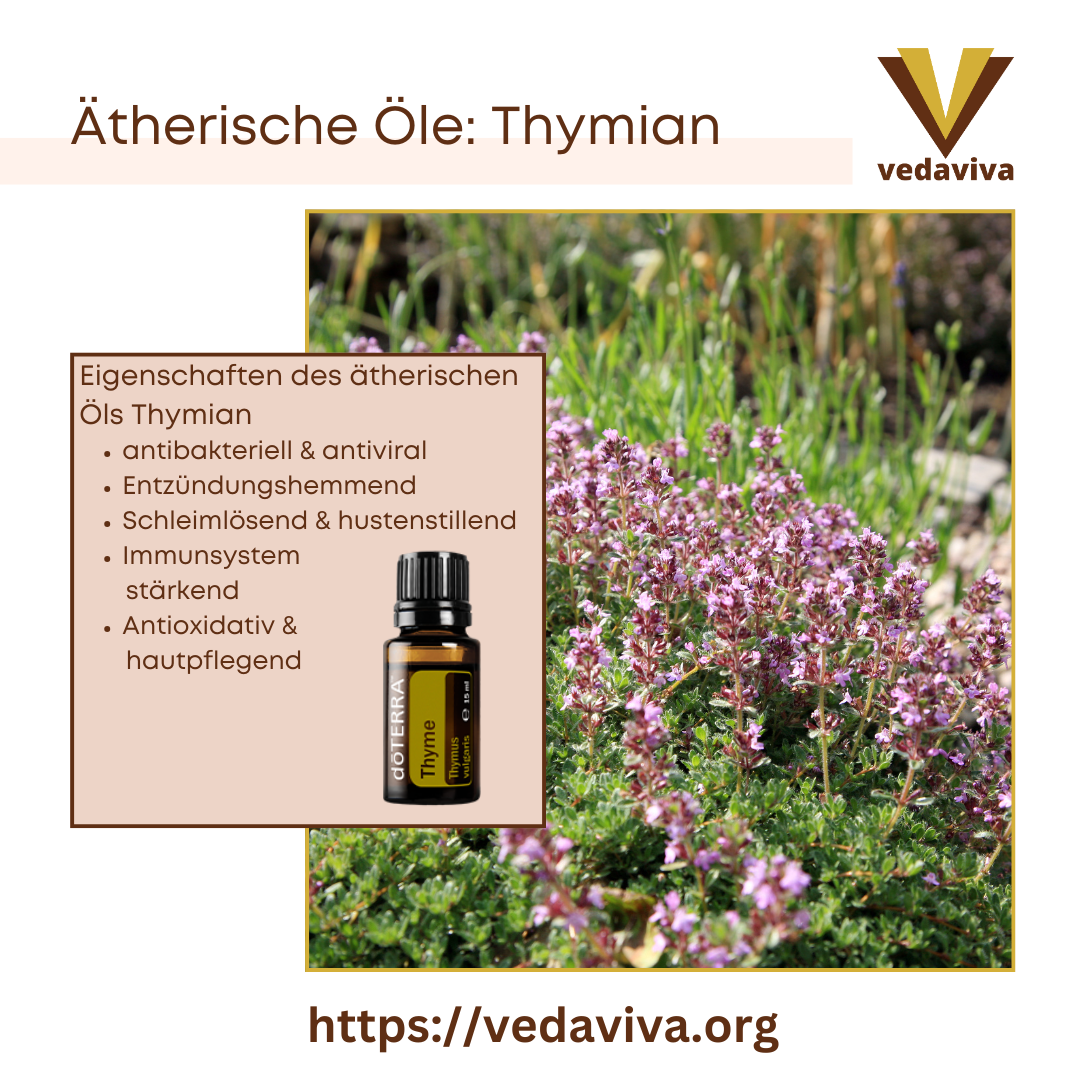Ätherische Öle: Thymian 4.9 (345)