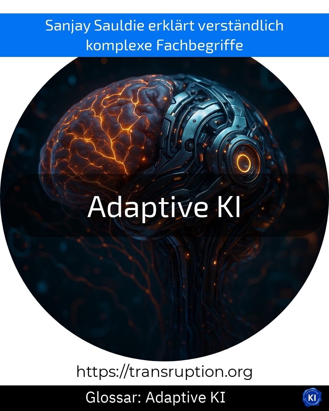 Adaptive KI (Glossar) 4.1 (1837)