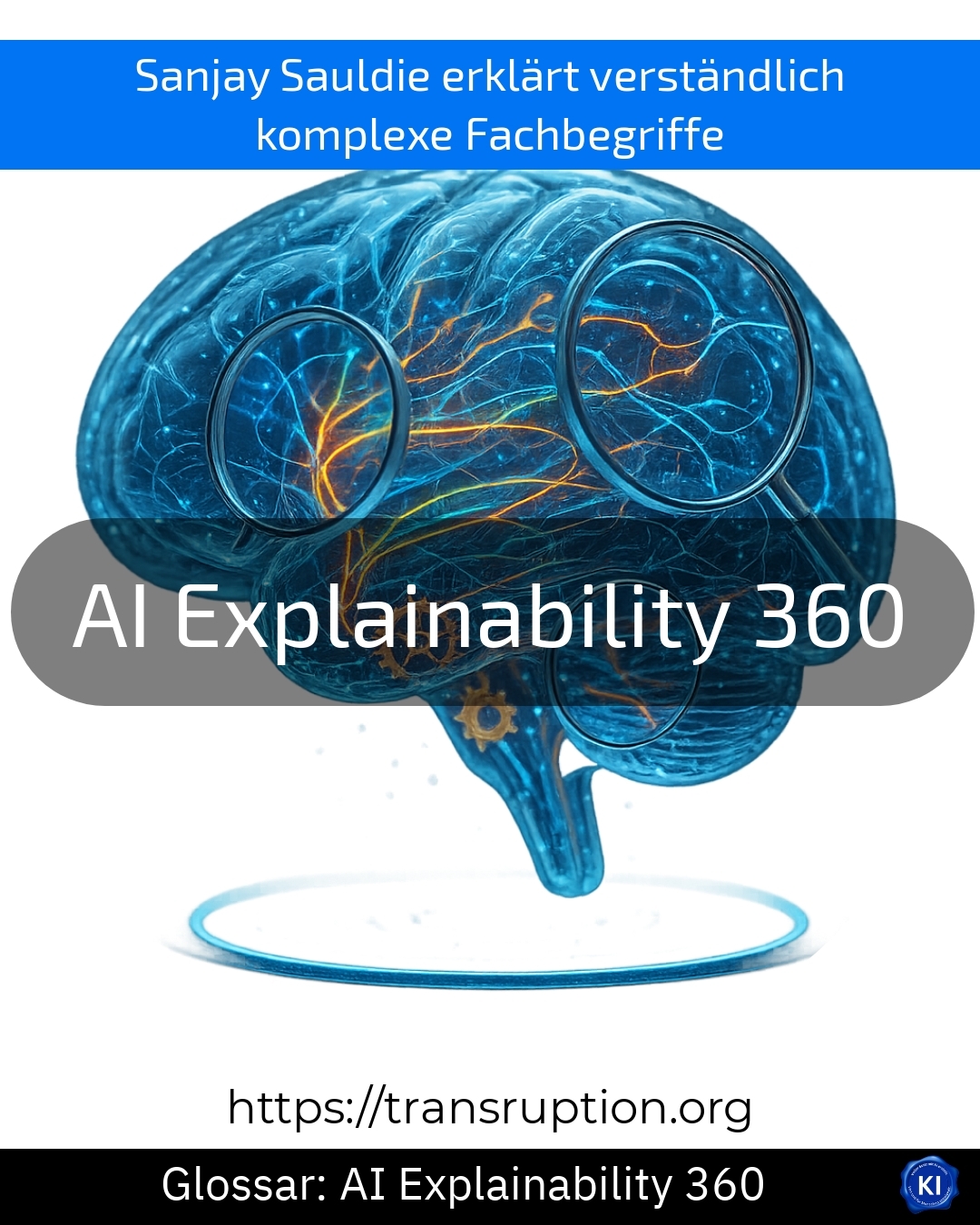 AI Explainability 360 (Glossar) 4.5 (1312)