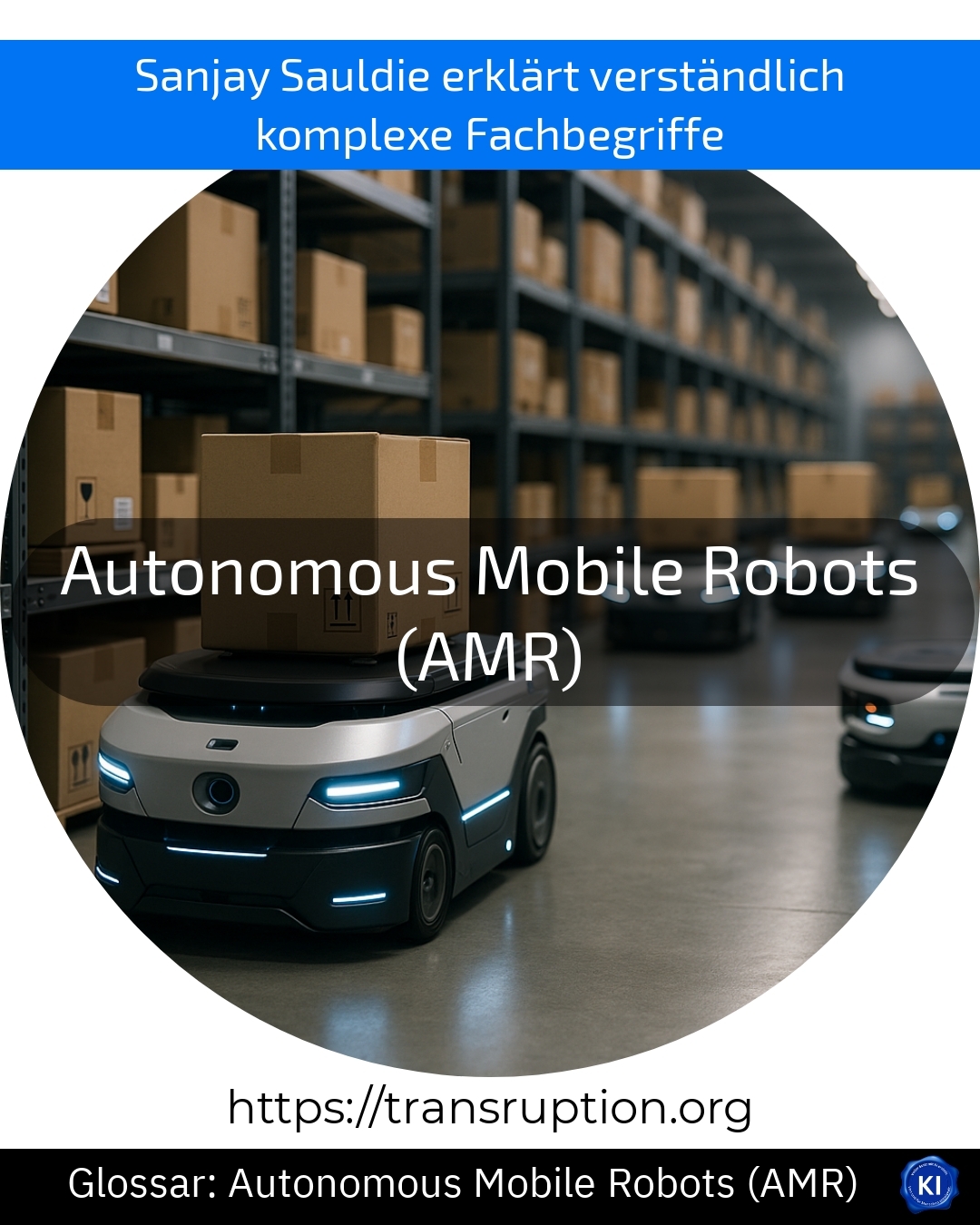 Autonomous Mobile Robots (AMR) (Glossar) 4.8 (1071)