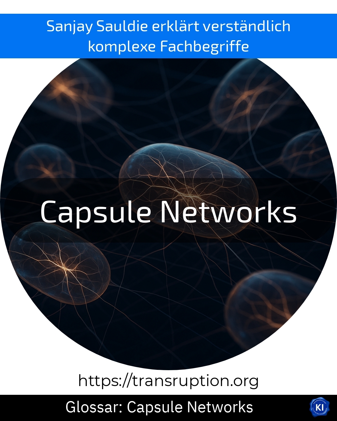Capsule Networks (Glossar) 4.4 (1497)