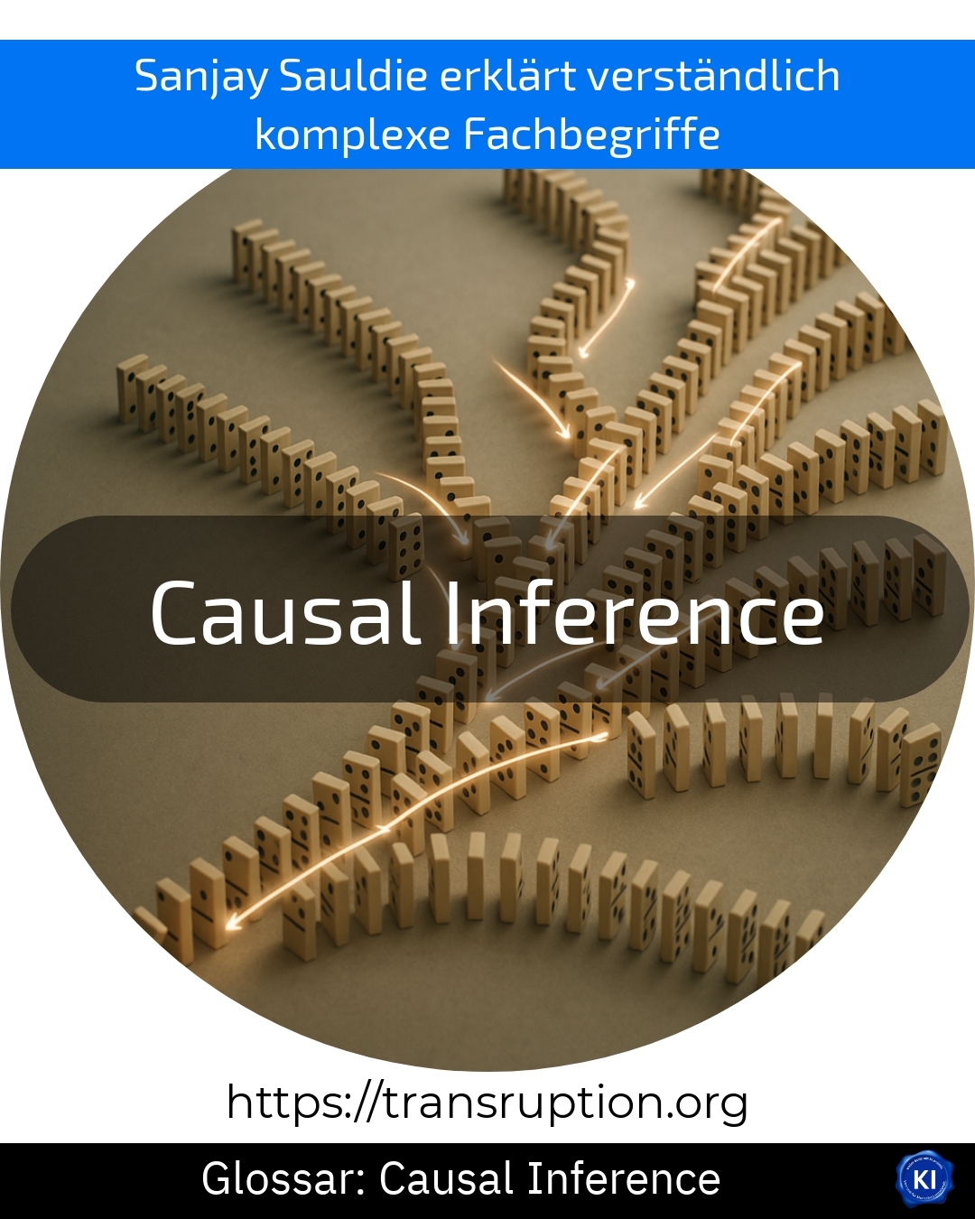 Causal Inference (Glossar) 4.4 (694)