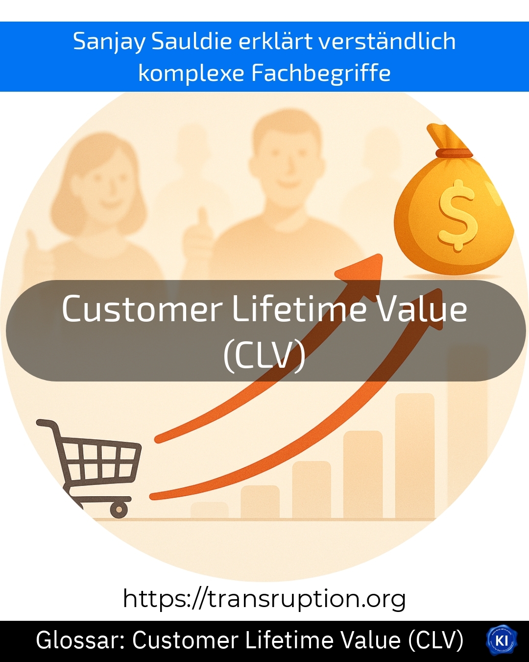 Customer Lifetime Value (CLV) (Glossar) 4.2 (1376)