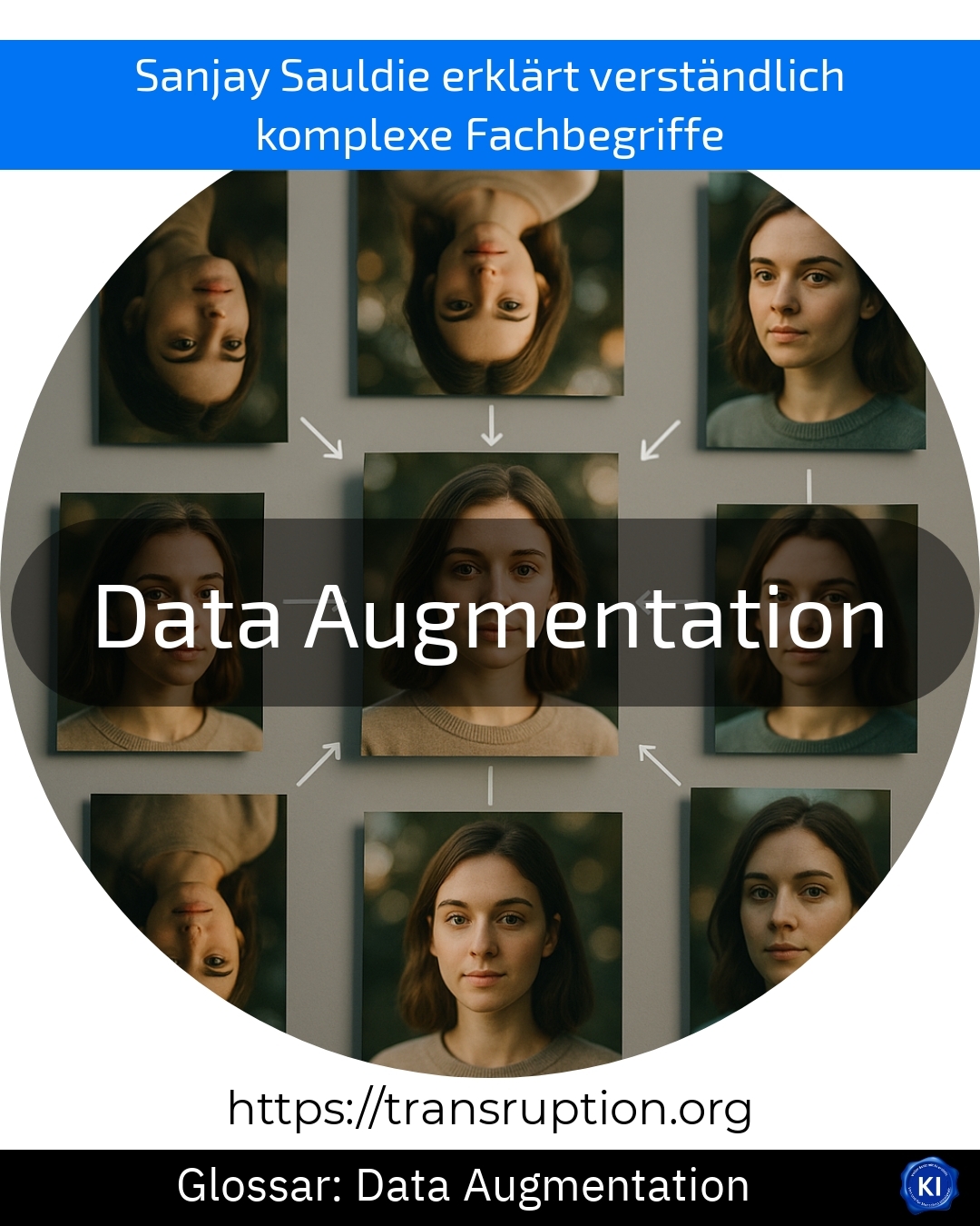 Data Augmentation (Glossar) 4.1 (735)