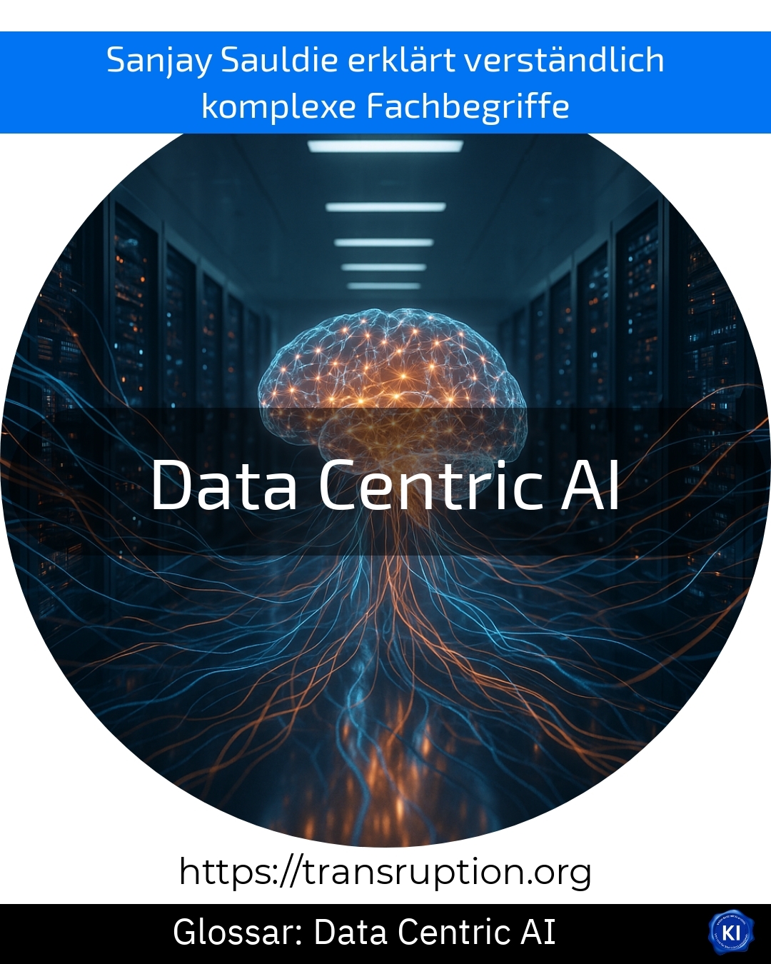 Entdecken Sie, wie Data Centric AI Ihre KI-Projekte optimiert – mit hochwertigen Daten zum Erfolg. Jetzt mehr erfahren!