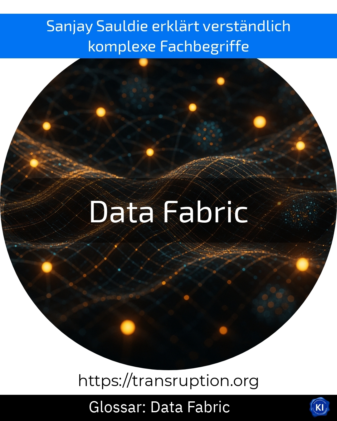 Data Fabric (Glossar) 4.3 (479)