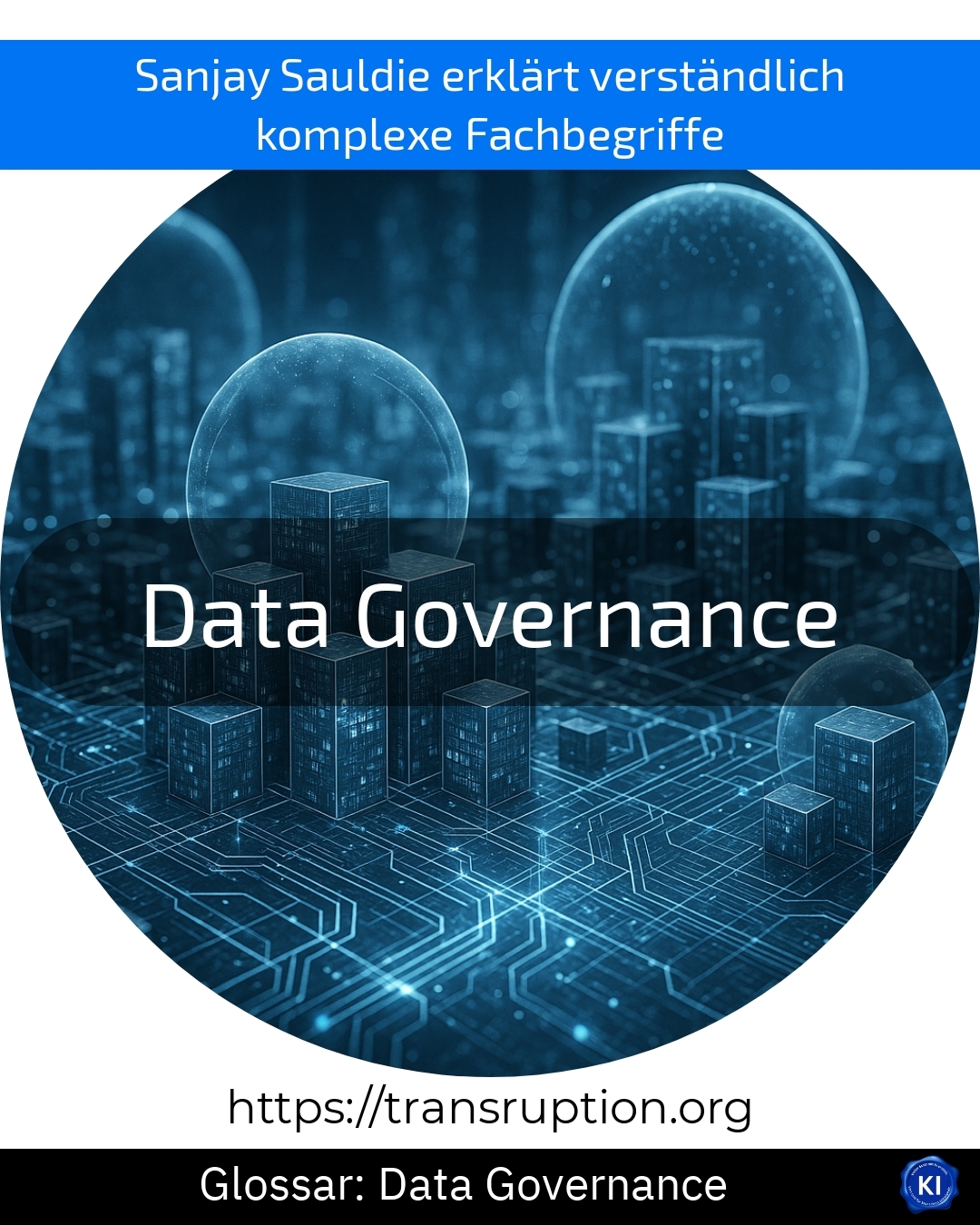 Data Governance (Glossar) 4.3 (1485)