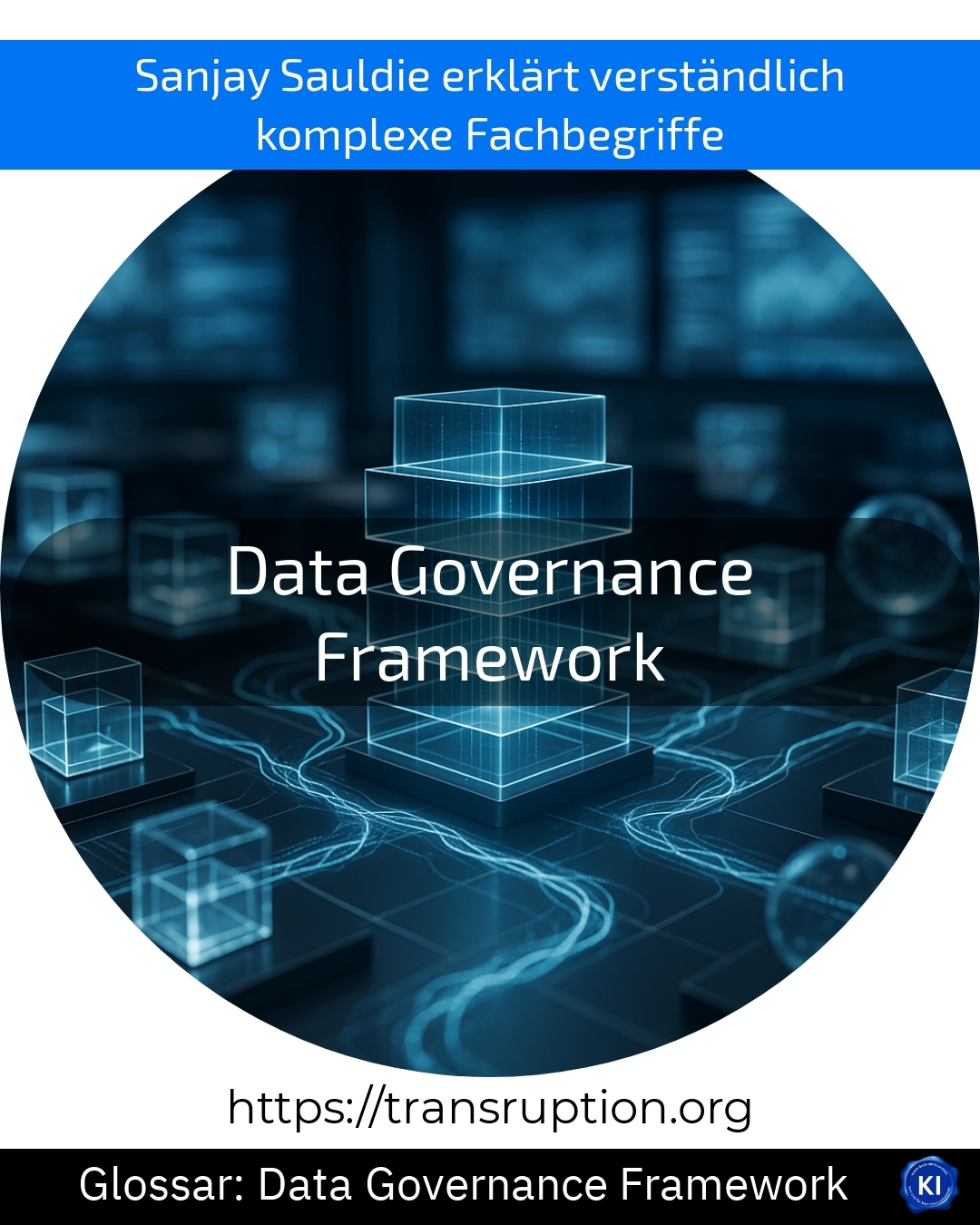Data Governance Framework (Glossar) 4.8 (969)