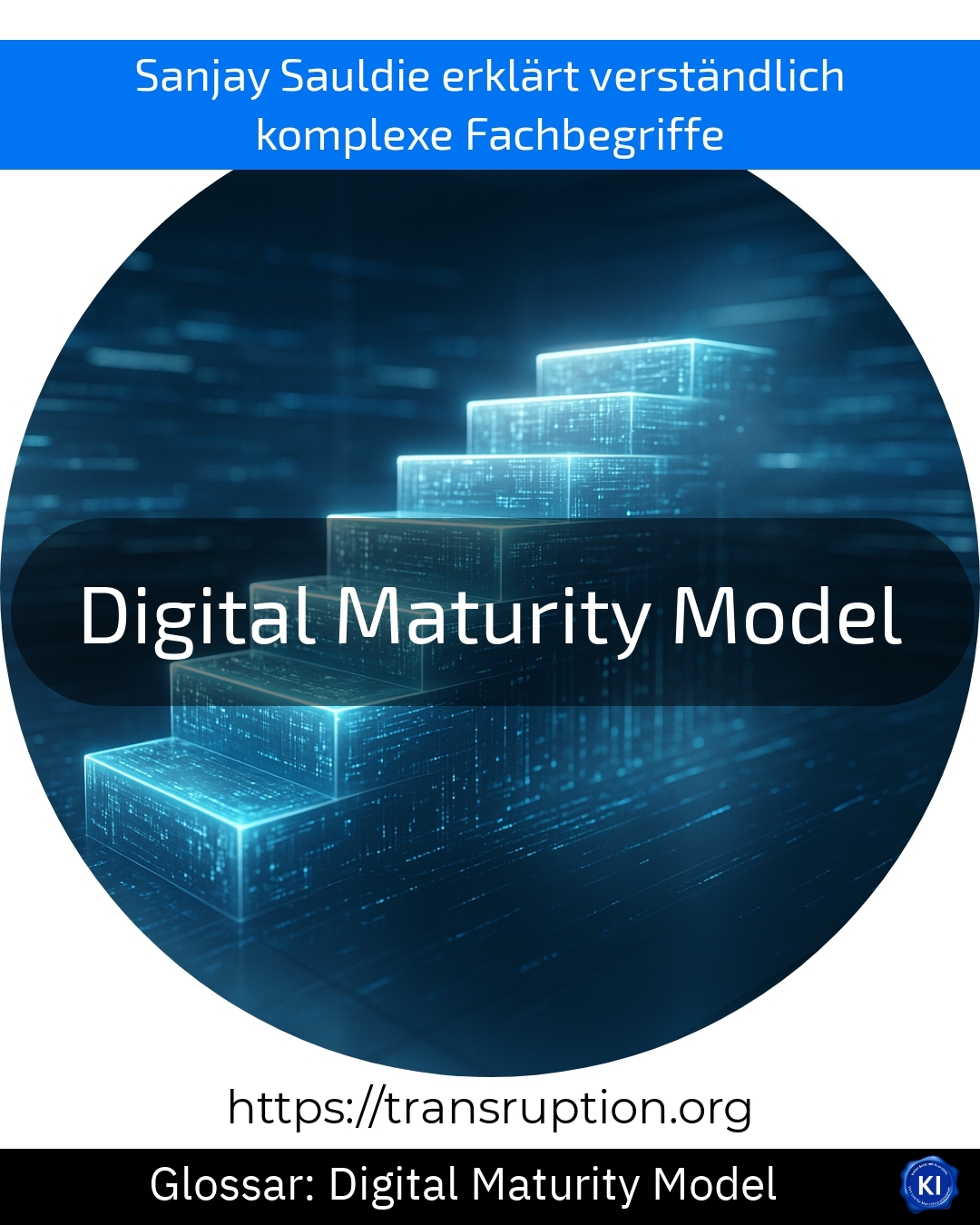 Digital Maturity Model (Glossar) 4.5 (907)