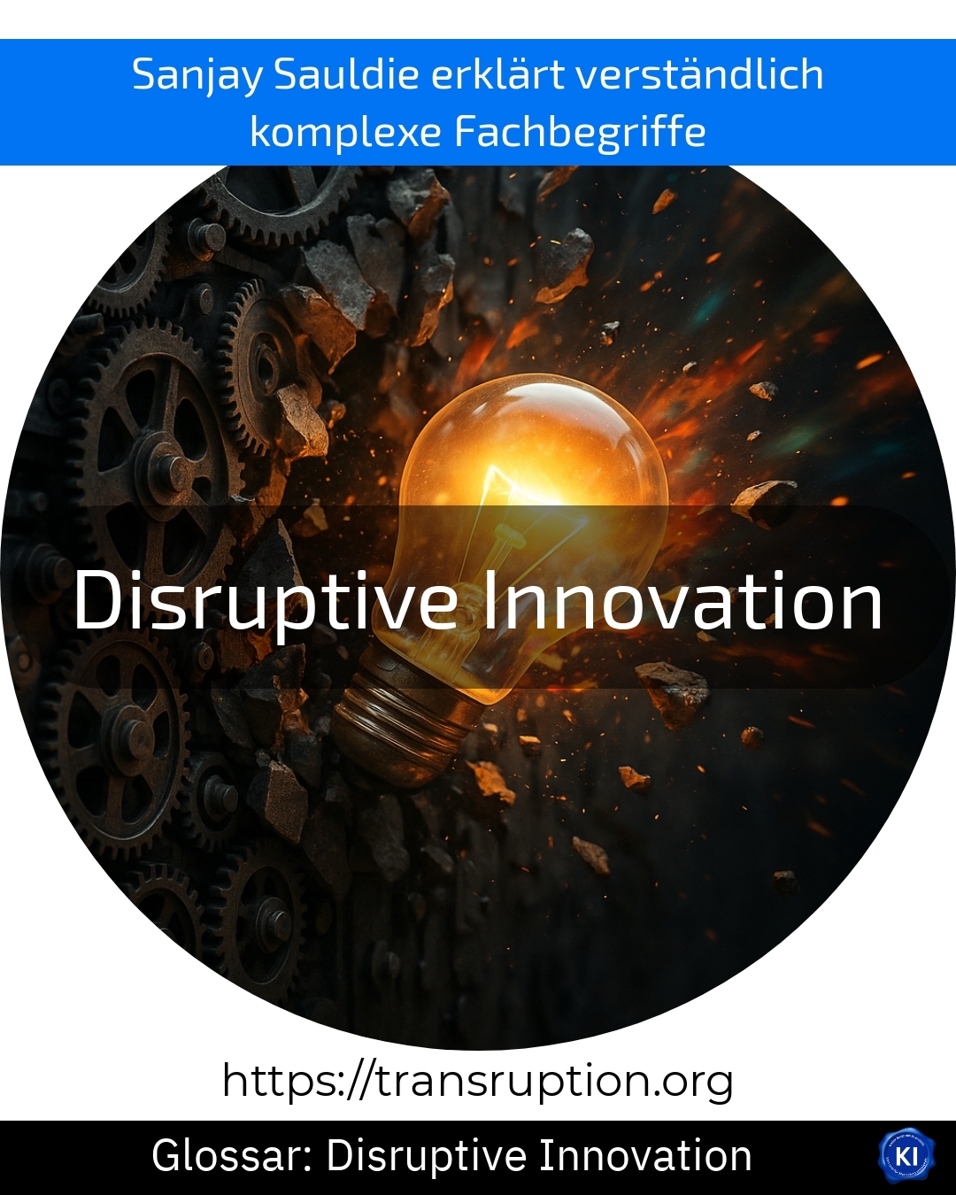 Disruptive Innovation (Glossar) 4.7 (605)