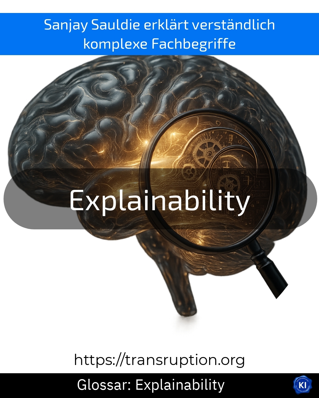 Erfahre, warum Explainability für Vertrauen in KI & Daten wichtig ist. Jetzt mehr über Explainability und Transparenz entdecken!