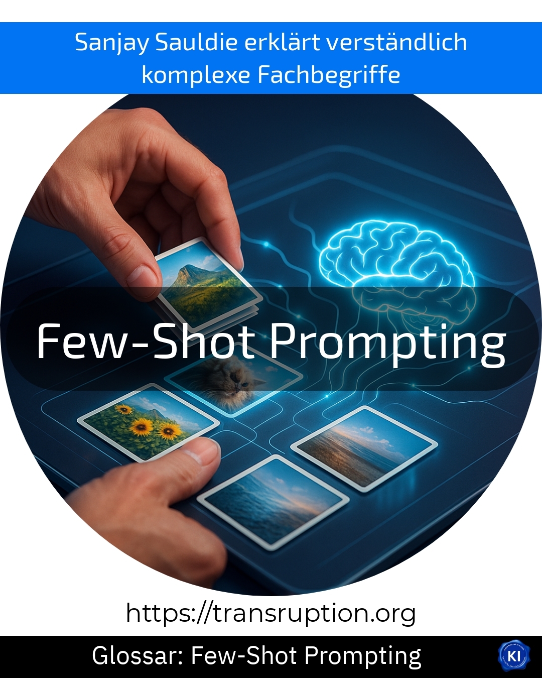 Few-Shot Prompting (Glossar) 4.5 (1471)