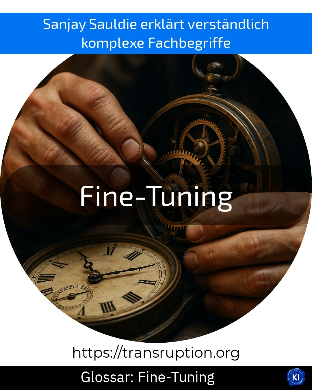 Fine-Tuning (Glossar) 4.4 (1051)