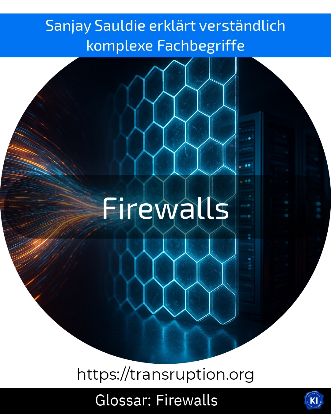 Firewalls (Glossar) 4.7 (1393)