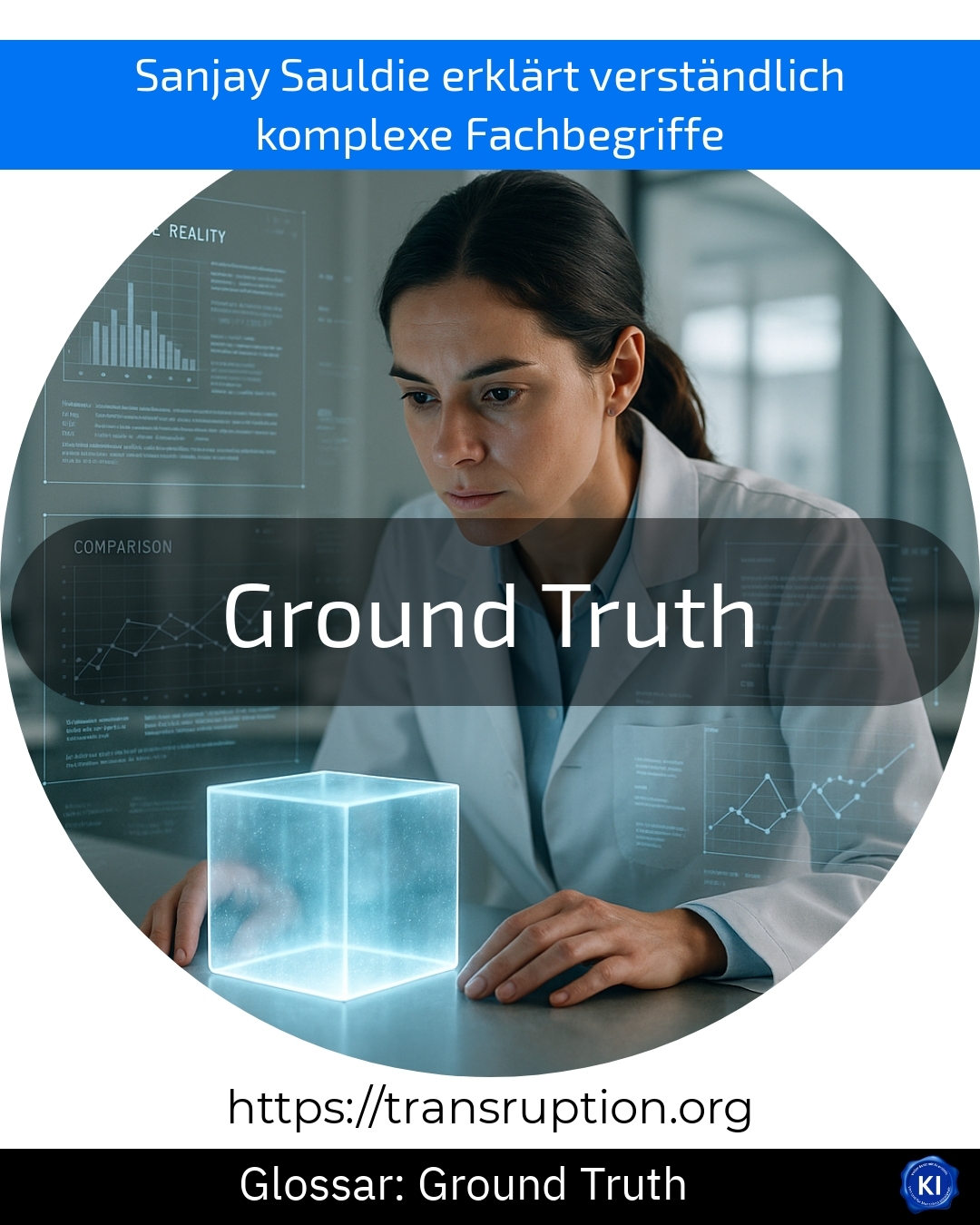 Ground Truth (Glossar) 4.9 (1513)