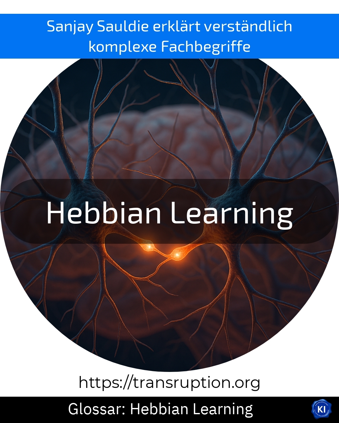 Hebbian Learning (Glossar) 4.4 (1165)