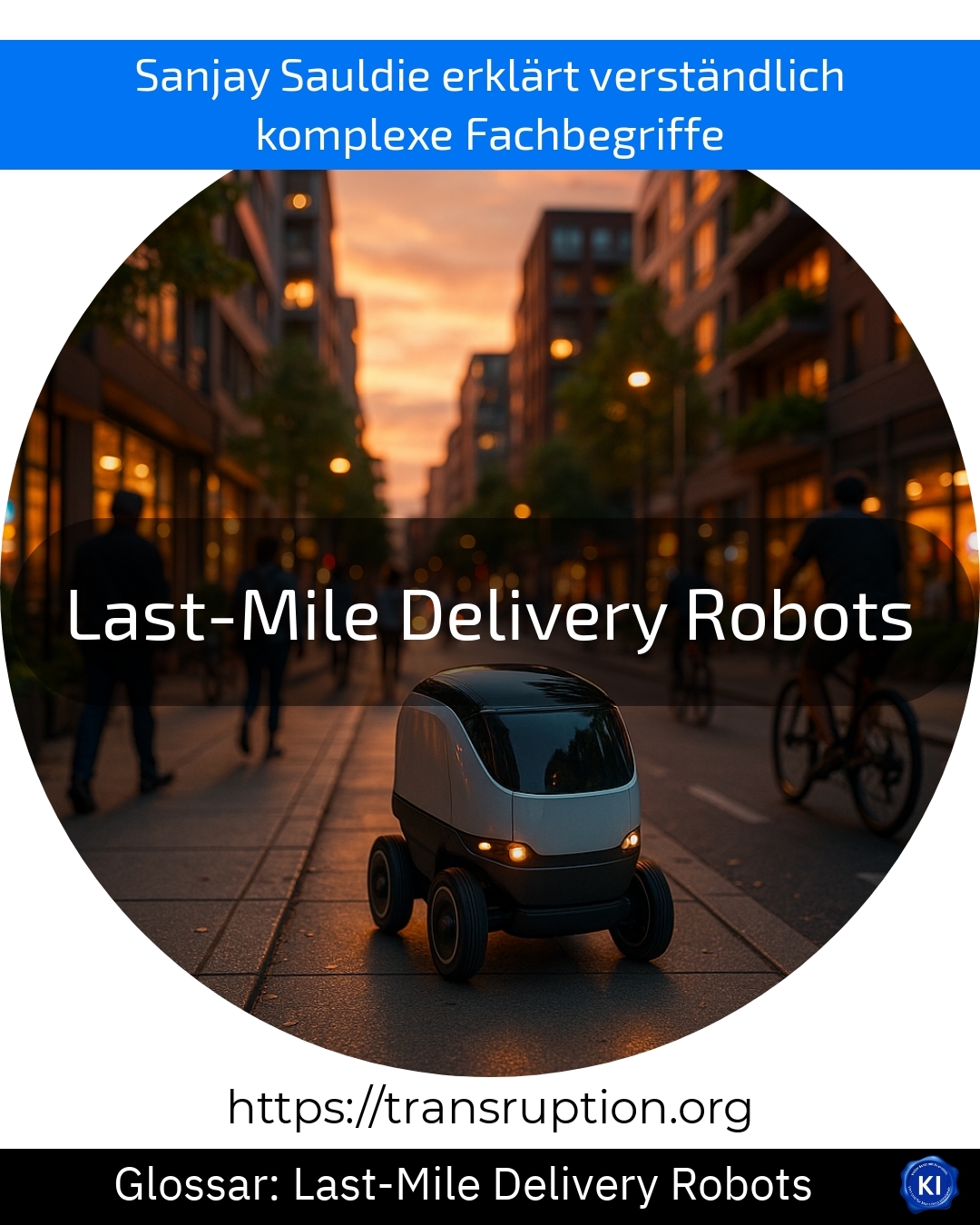Last-Mile Delivery Robots (Glossar) 4.4 (570)