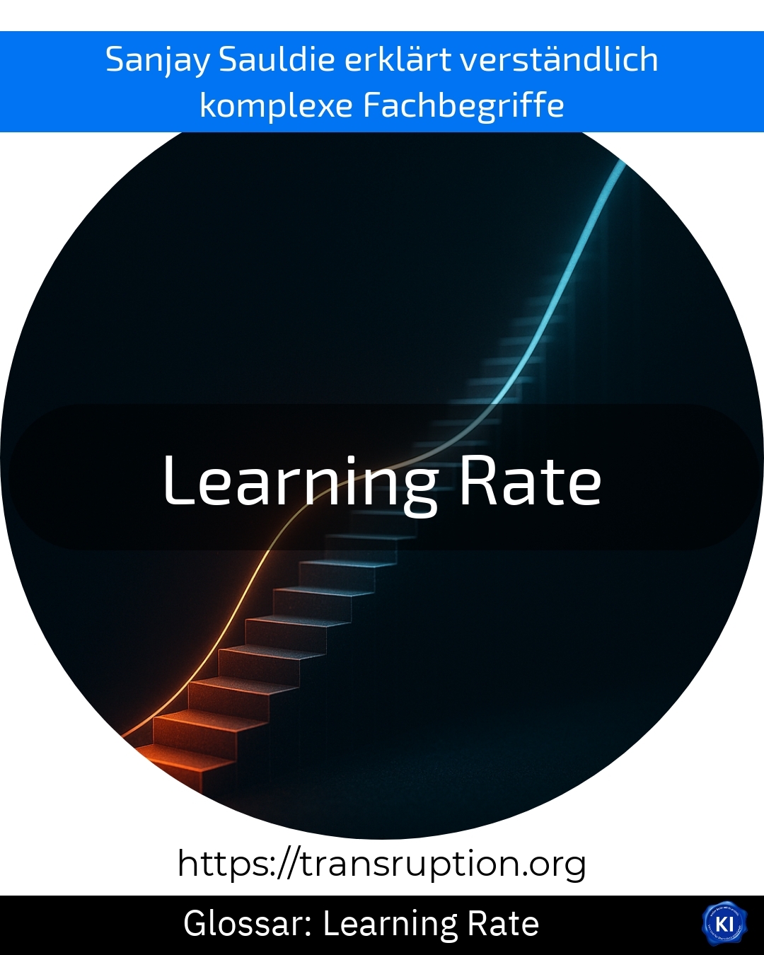Learning Rate (Glossar) 4.3 (1651)