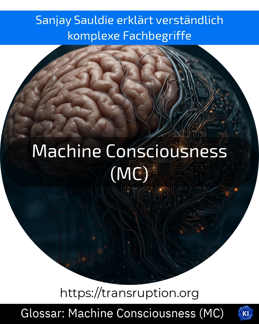 Machine Consciousness (MC) (Glossar) 4.1 (1681)