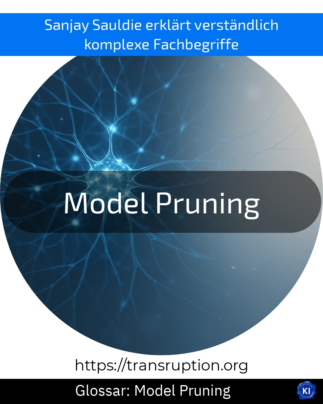 Model Pruning (Glossar) 4.8 (1759)
