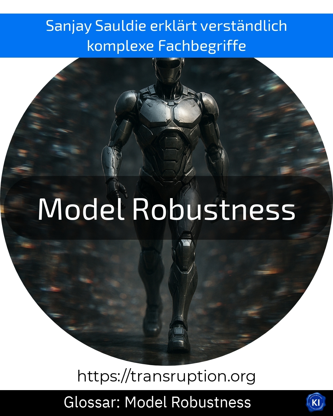 Model Robustness (Glossar) 4.8 (709)