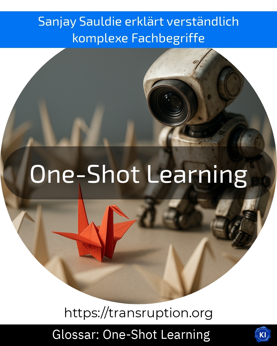 One-Shot Learning (Glossar) 4.1 (858)