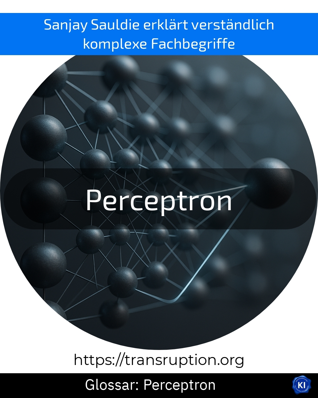 Perceptron (Glossar) 4.5 (379)