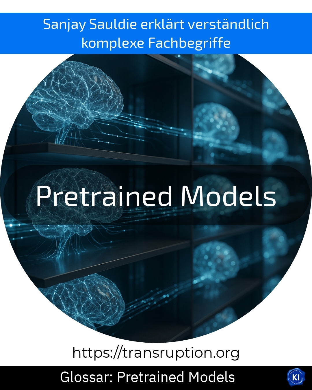 Pretrained Models (Glossar) 4.7 (1186)