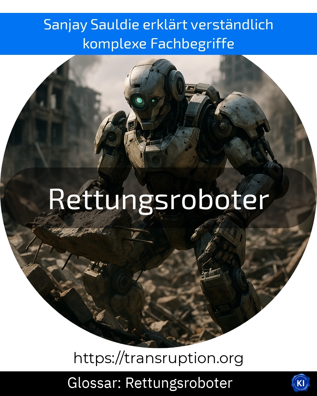 Rettungsroboter (Glossar) 4.4 (959)