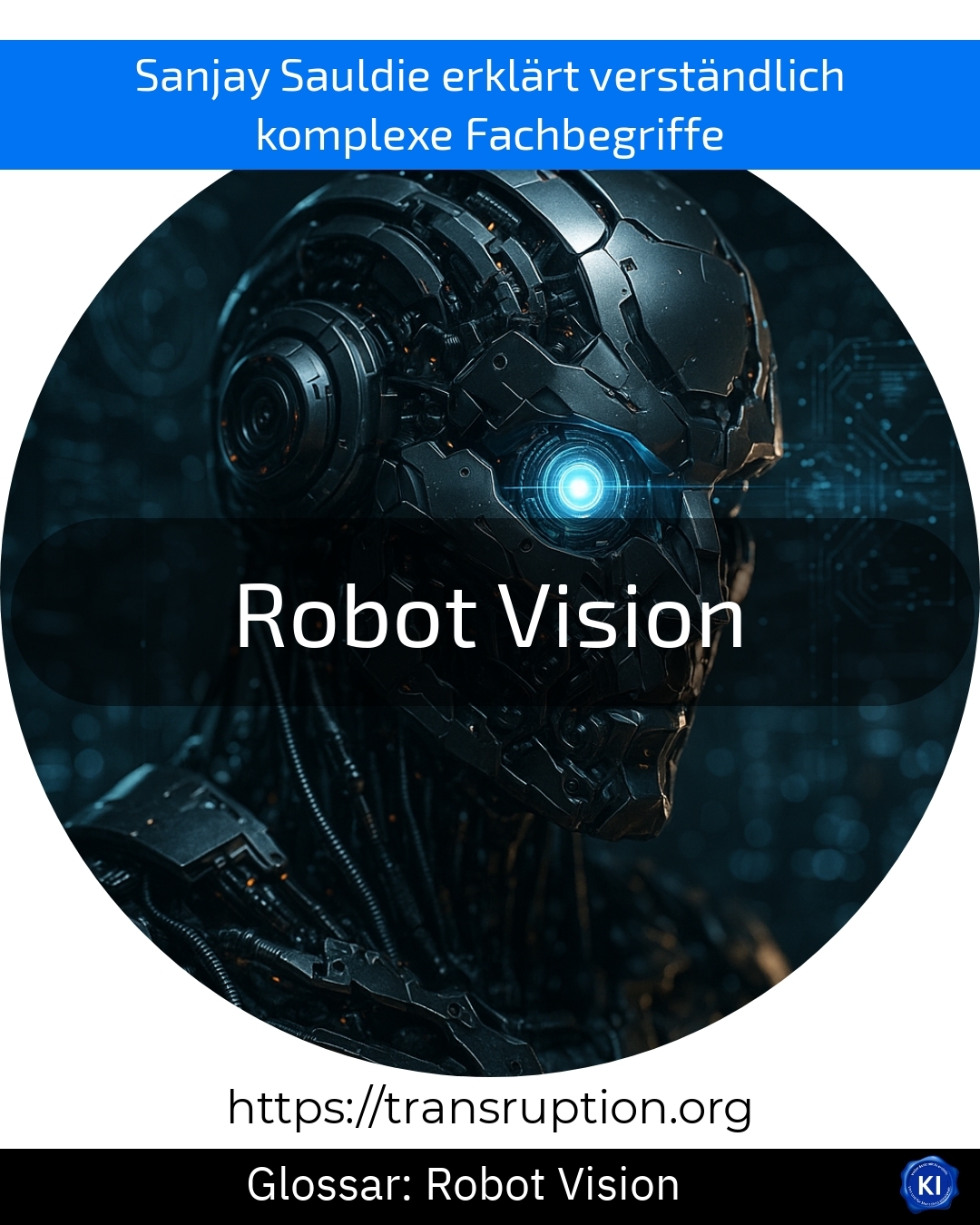 Robot Vision (Glossar) 4.7 (1631)