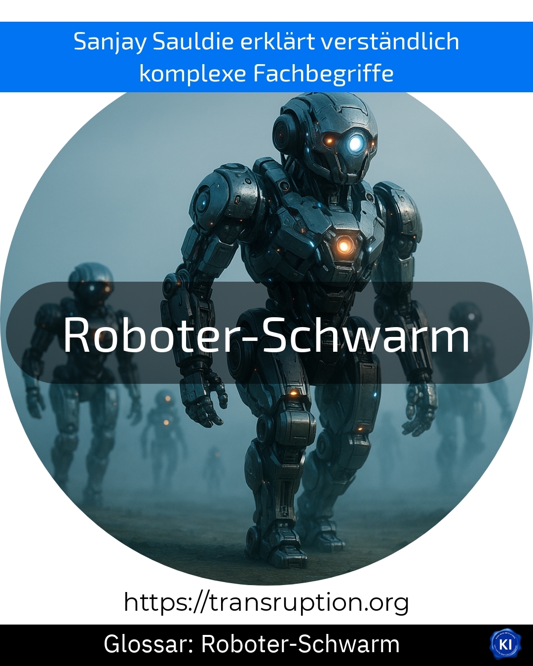 Roboter-Schwarm (Glossar) 4.8 (1848)