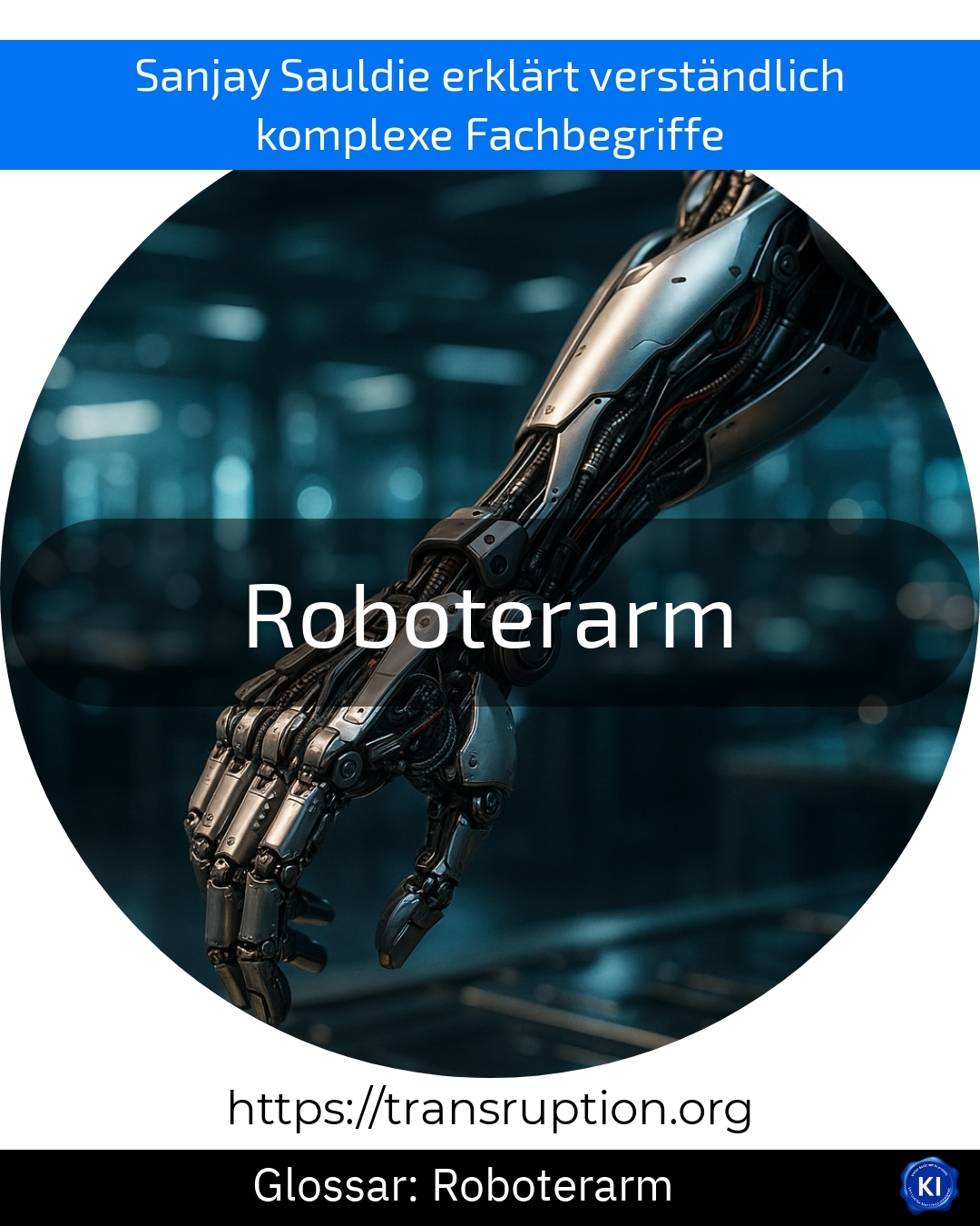 Roboterarm (Glossar) 4.8 (683)
