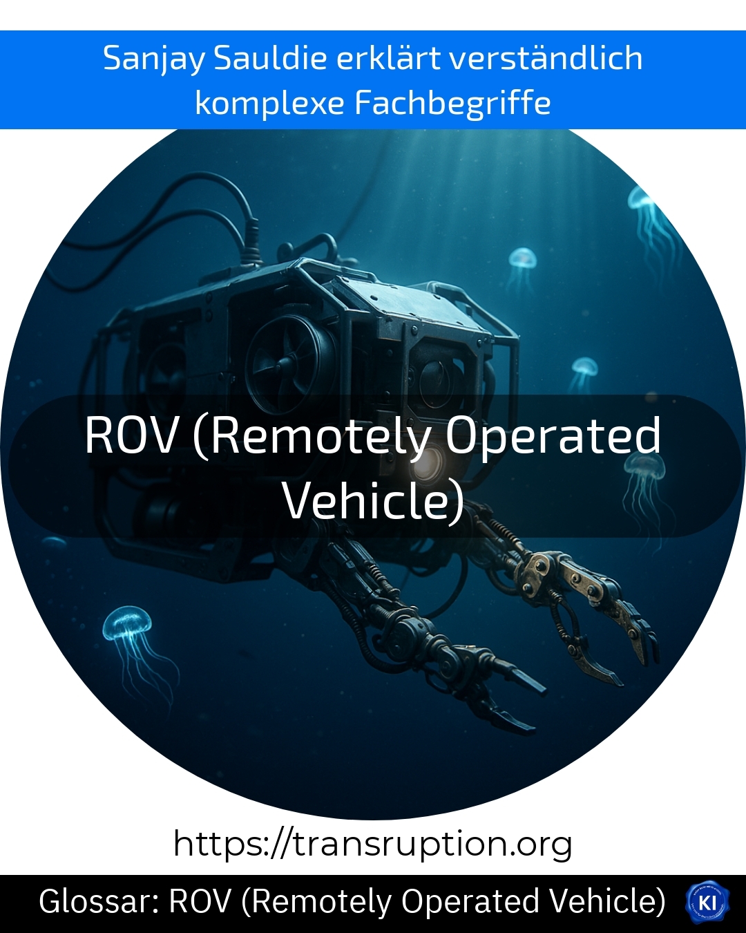 ROV (Remotely Operated Vehicle) (Glossar) 4.9 (971)