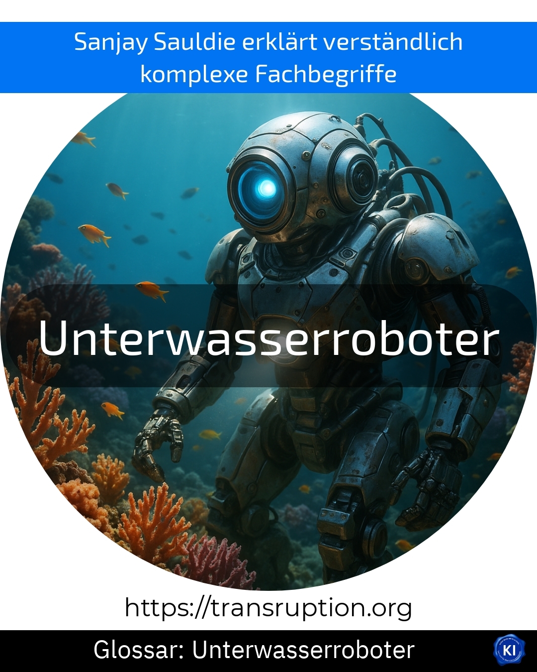 Unterwasserroboter (Glossar) 4.7 (794)