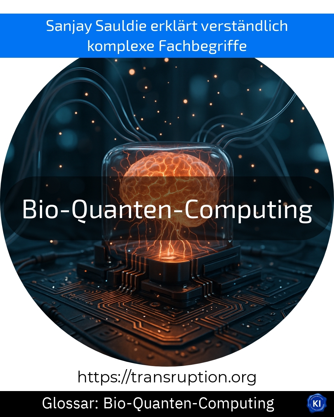 Bio-Quanten-Computing (Glossar) 4.7 (1252)