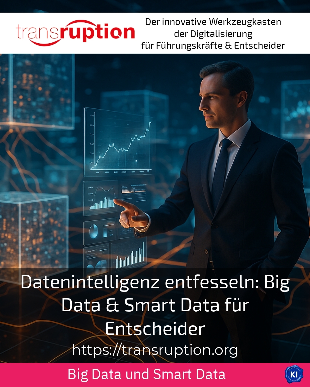 Datenintelligenz entfesseln: Big Data & Smart Data für Entscheider 5 (731)