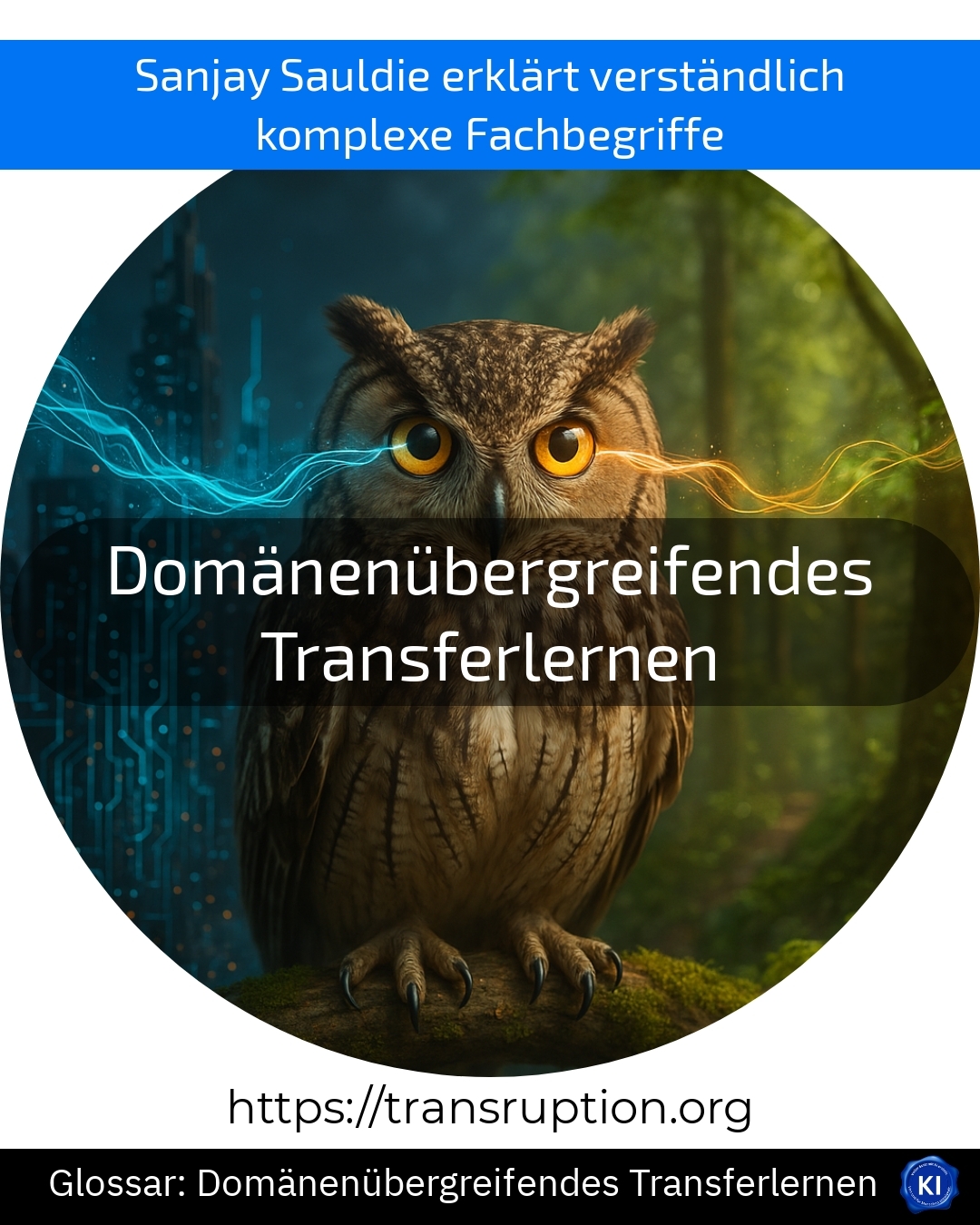 Domänenübergreifendes Transferlernen (Glossar) 4.7 (1742)