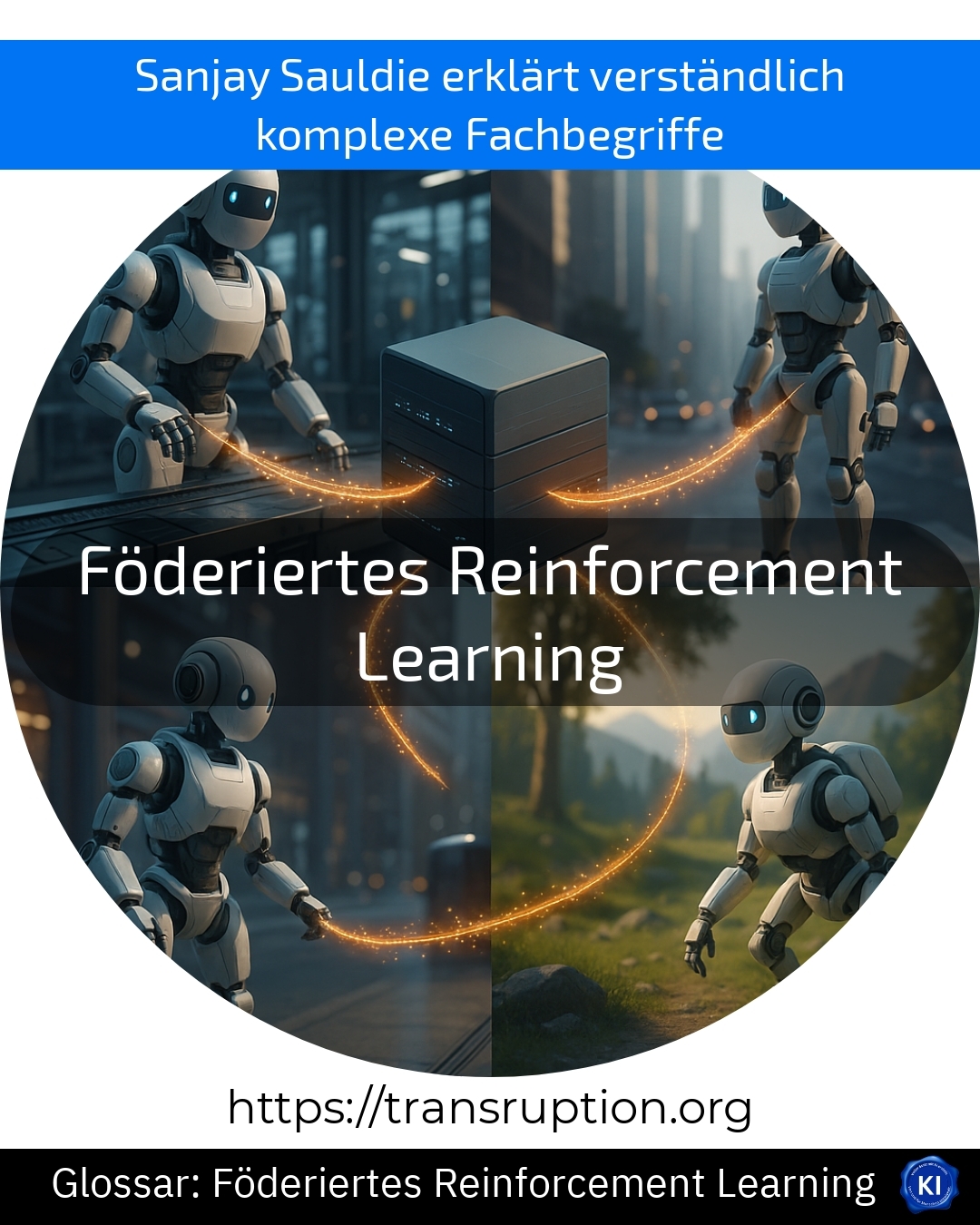 Föderiertes Reinforcement Learning (Glossar) 4 (1484)
