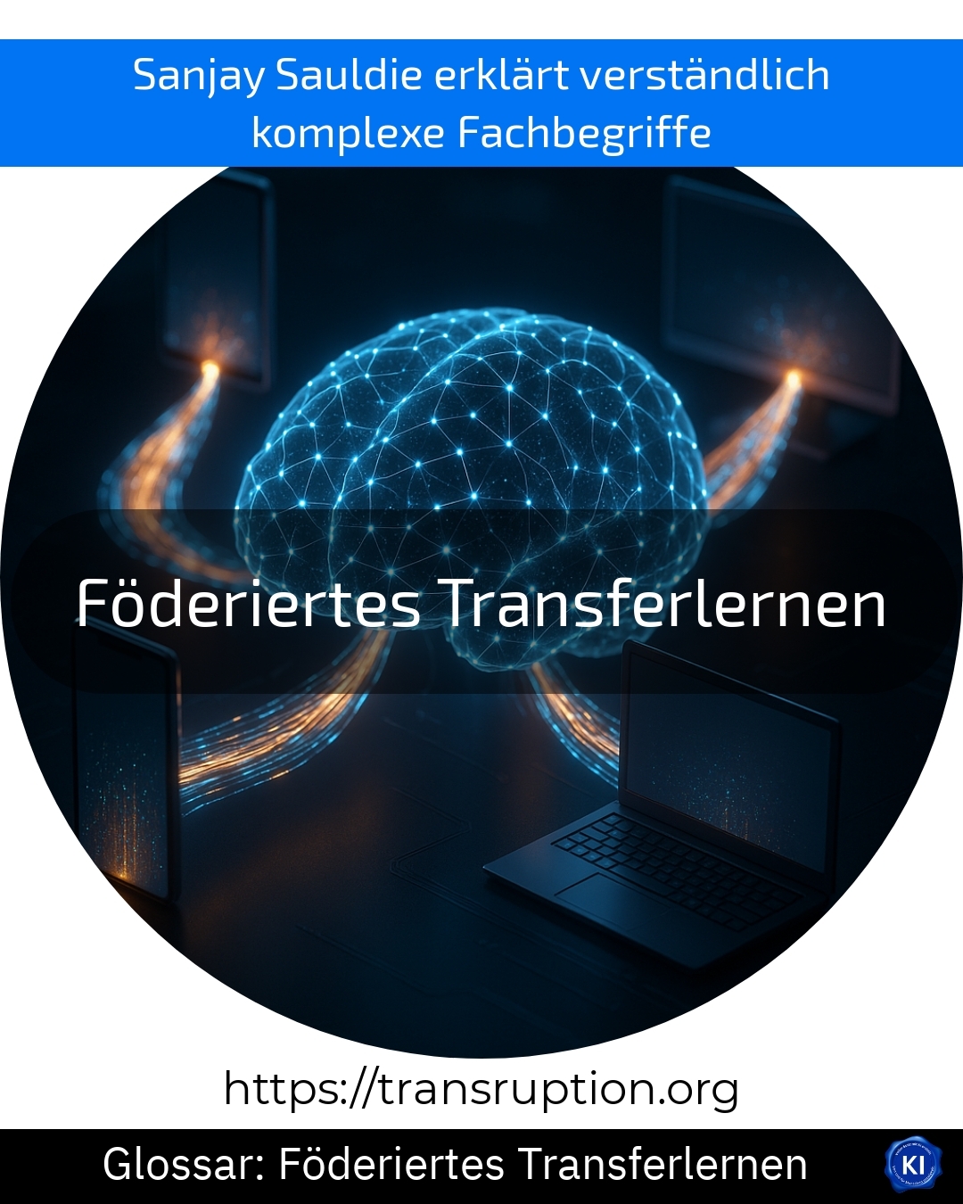 Föderiertes Transferlernen (Glossar) 4.2 (1390)