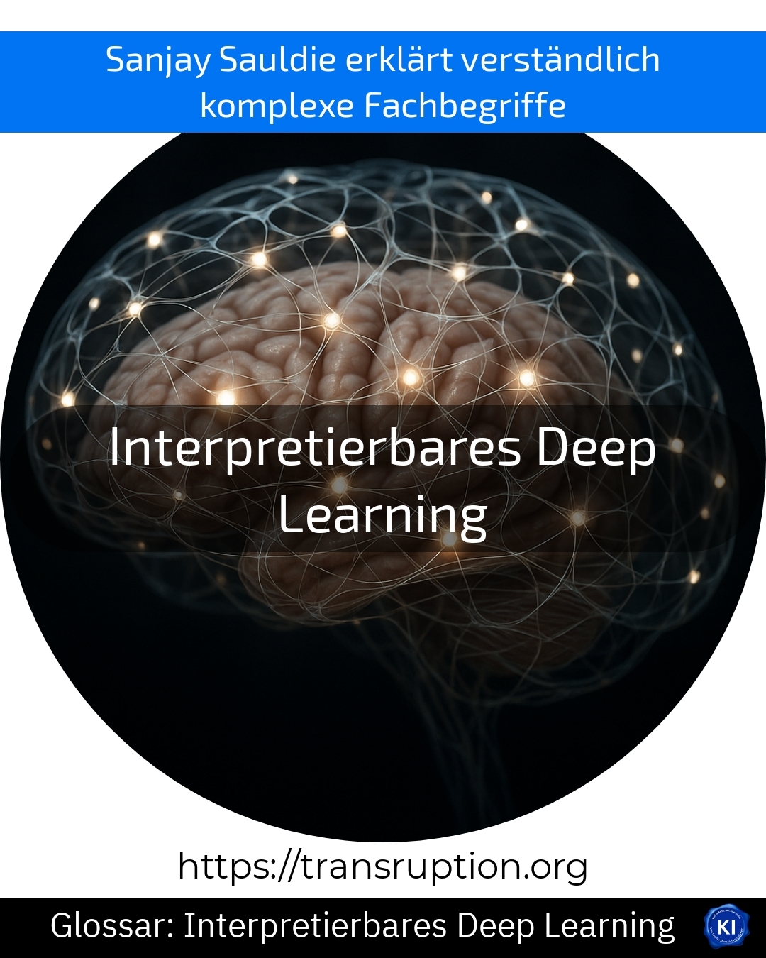 Interpretierbares Deep Learning (Glossar) 4.2 (1777)