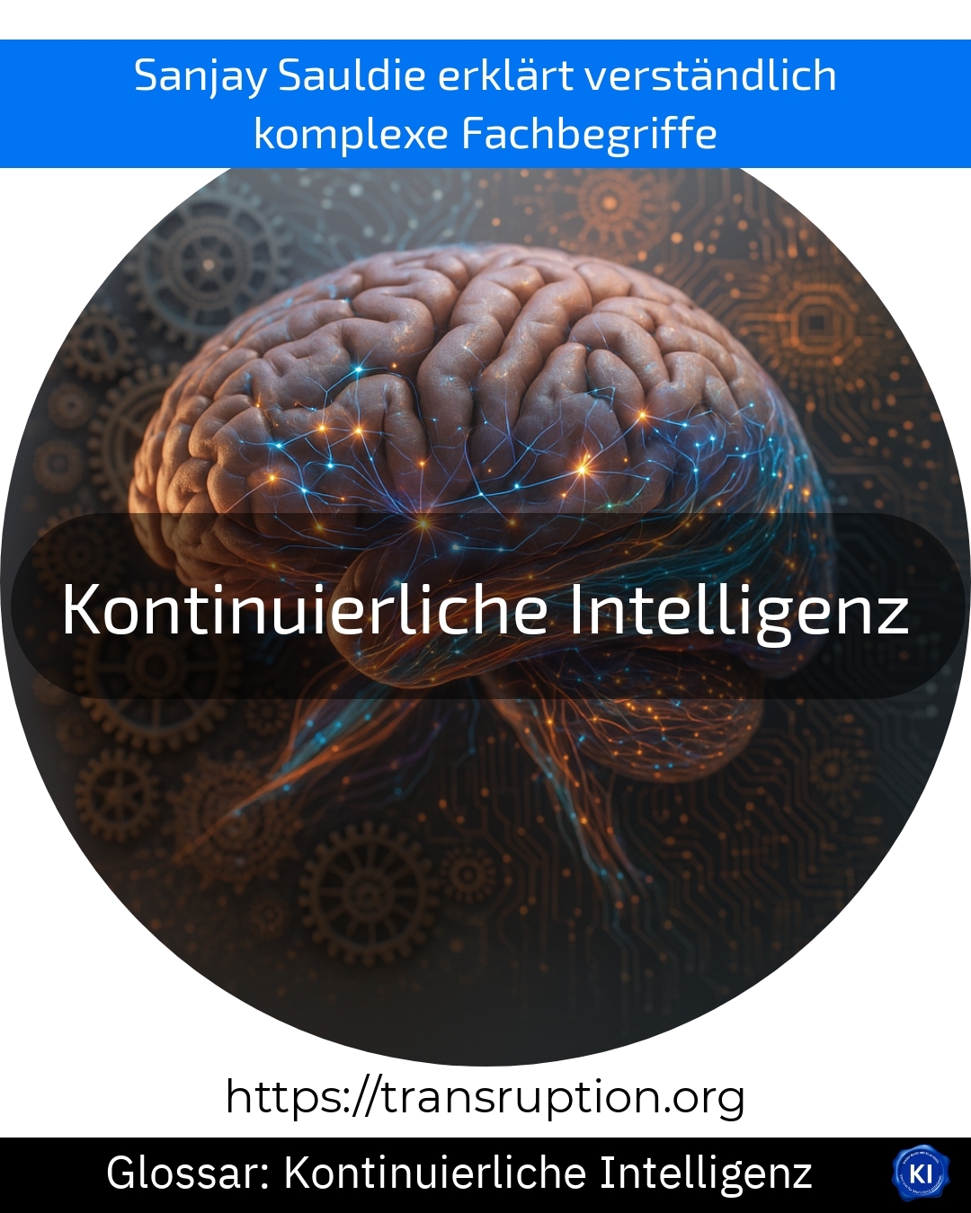 Kontinuierliche Intelligenz (Glossar) 4.9 (801)