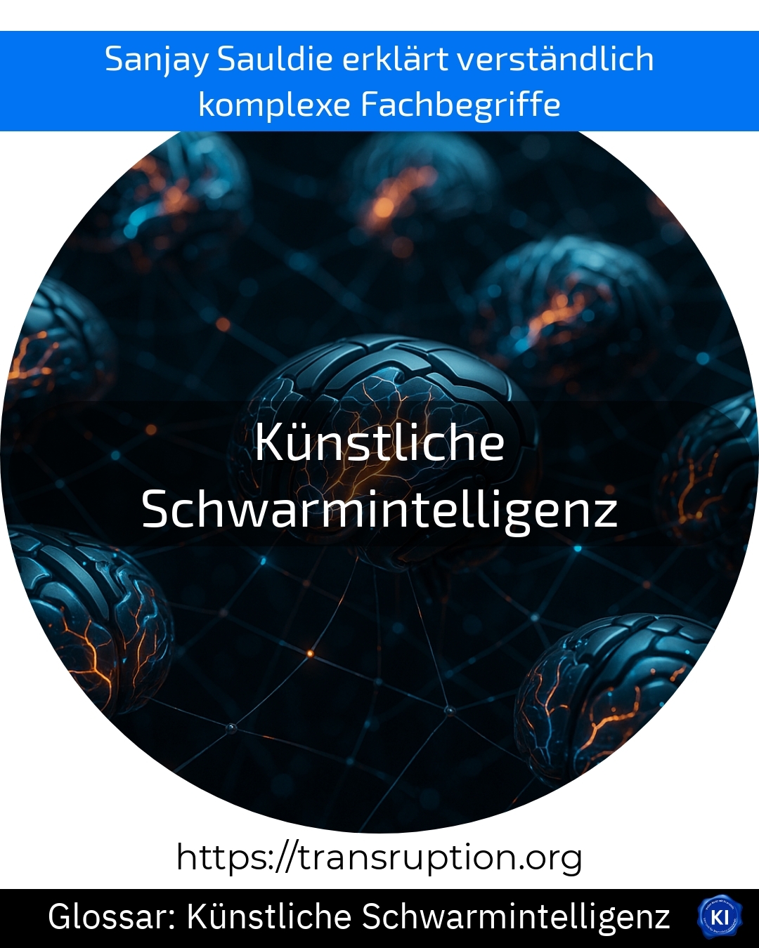 Künstliche Schwarmintelligenz (Glossar) 4.8 (812)