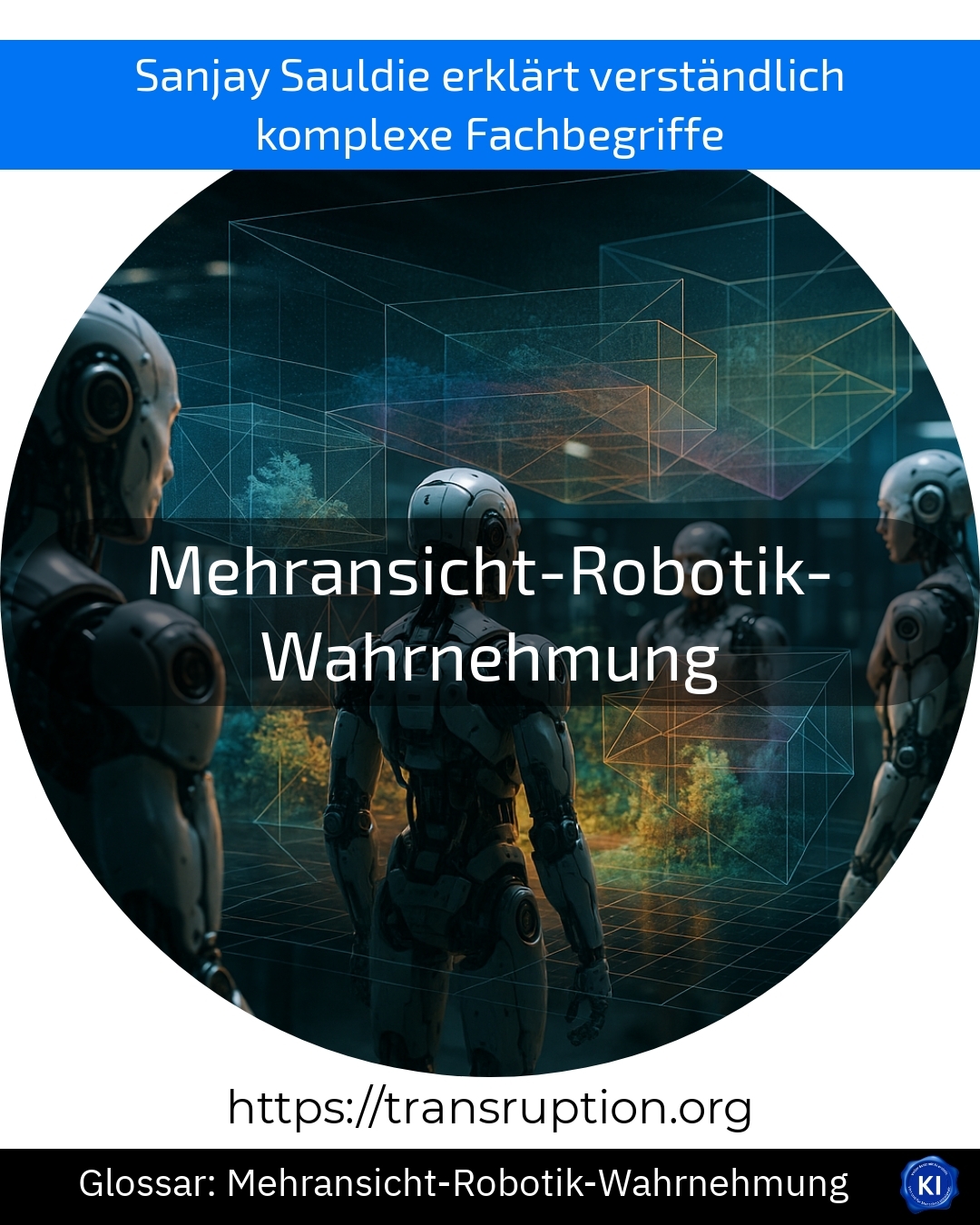 Mehransicht-Robotik-Wahrnehmung (Glossar) 4.8 (1151)