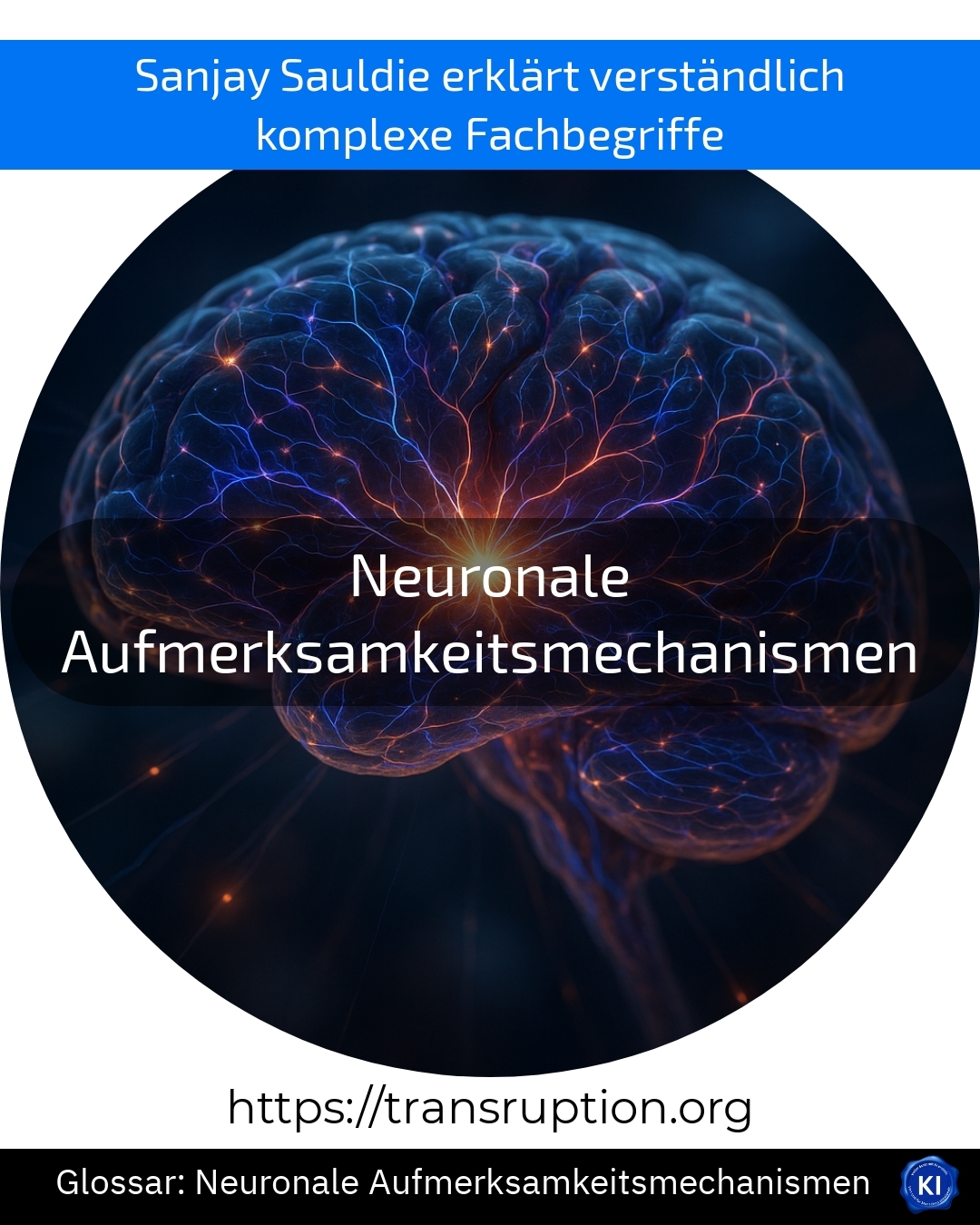 Neuronale Aufmerksamkeitsmechanismen (Glossar) 4.1 (1088)